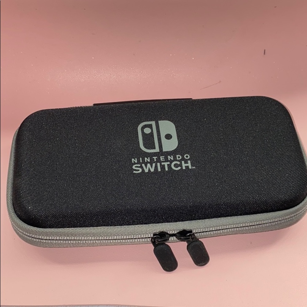 Nintendo Switch Lite case